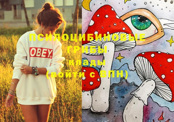 спайс Абинск
