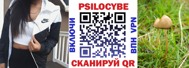Галлюциногенные грибы Psilocybine cubensis  продажа наркотиков  Пойковский 